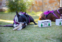 Load image into Gallery viewer, 8” Premium Large Whole Antler Chew