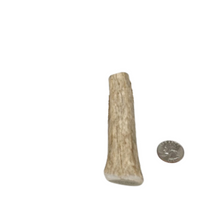 Load image into Gallery viewer, 4" Premium Small Whole Antler Chew