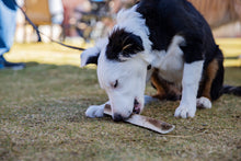 Load image into Gallery viewer, 8&quot; Large Premium Split Antler Chew
