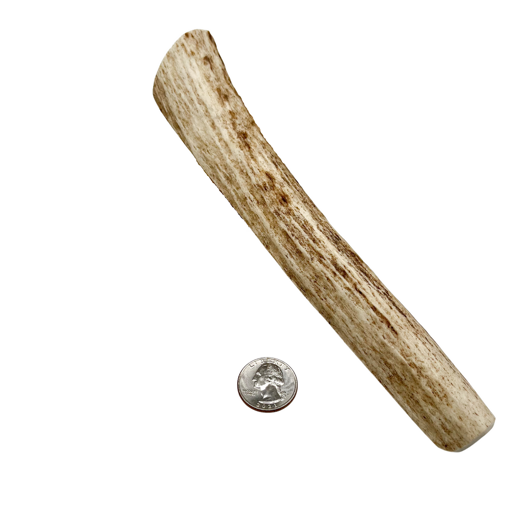8” Premium Large Whole Antler Chew